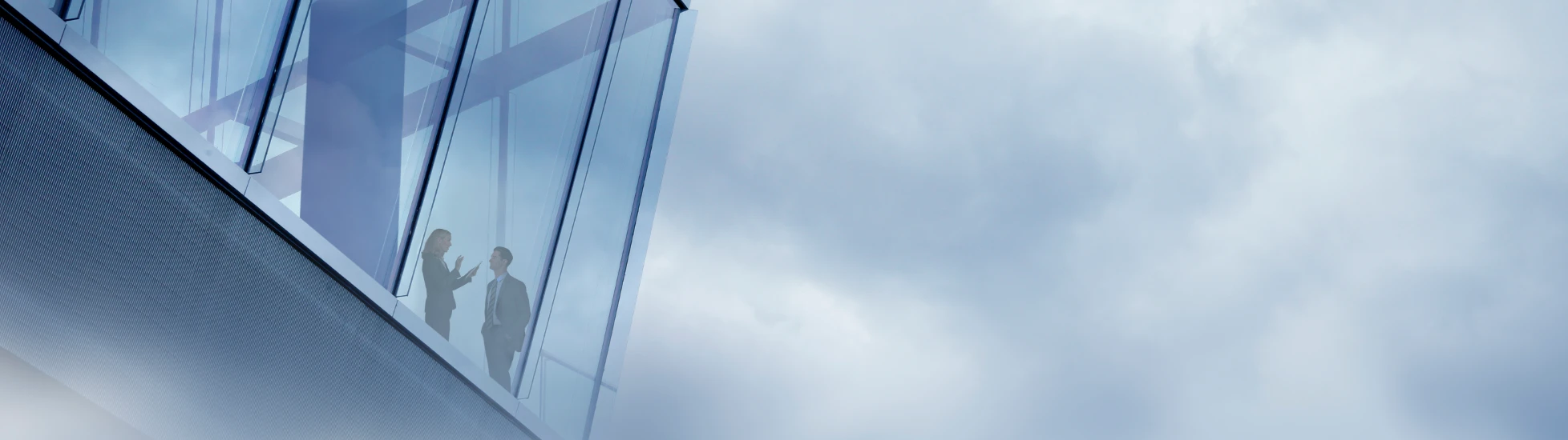 Two international workers in a high rise glass office