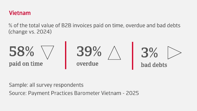 % of the total value of B2B invoices paid on time, overdue and bad debts in Vietnam