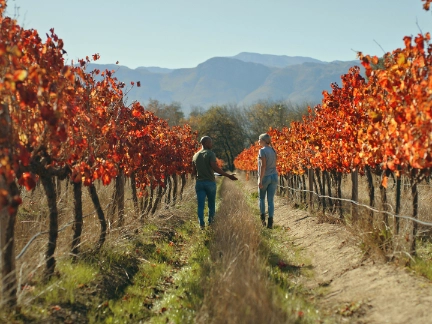 Diverse couple walking through autumn coloured trees